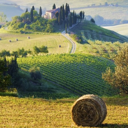 Tuscan valleys on a Carter Company cycling holiday in Italy