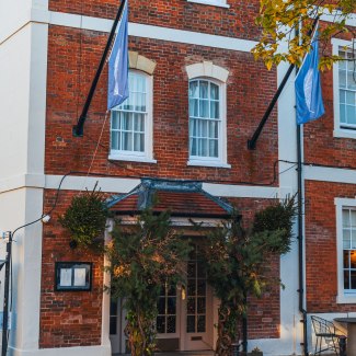 The Feathers - Woodstock 