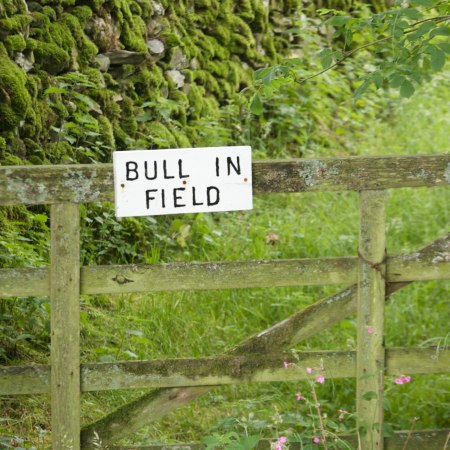 Gate with sign saying 'Bull in Field' - our terms and conditions