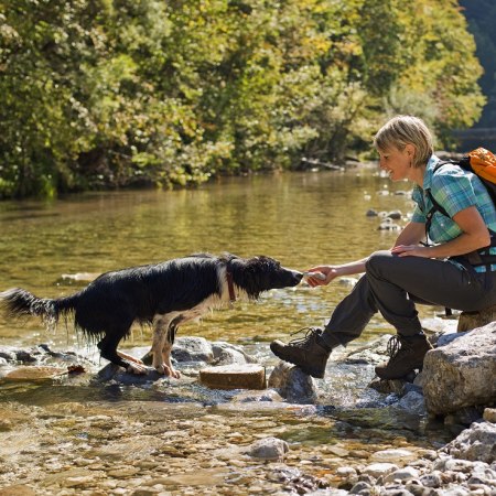 happy client with dog on a walk