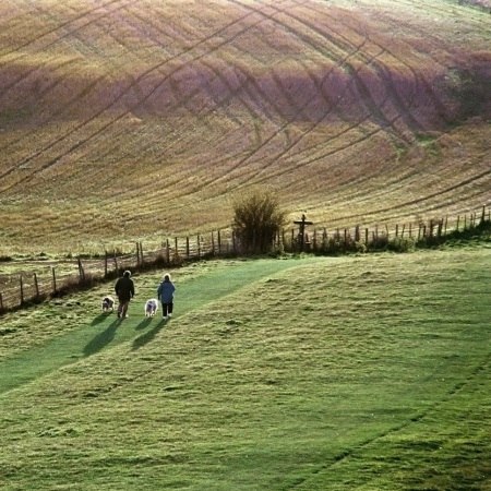 A path through the Chiltern Hills - explore this landscape on a Carter Company bike holiday