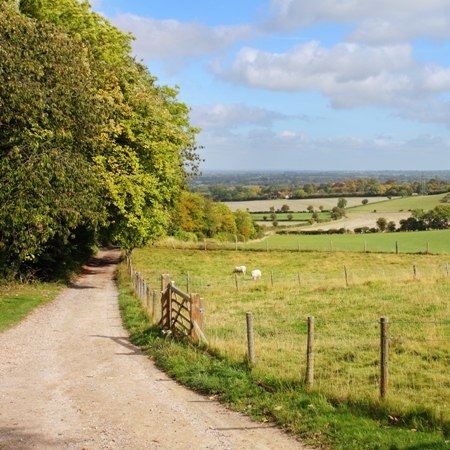 A unique sophisticated hen party awaits you on our 'Hens on Two Wheels' cycling and chocolate making break