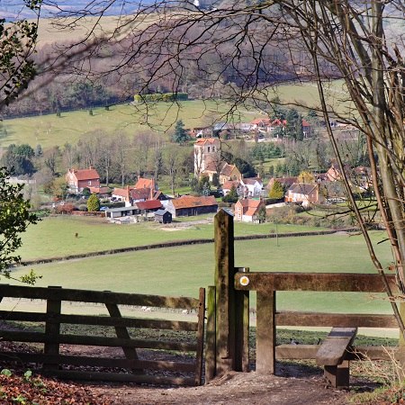 Enjoy charming villages nestled amongst beech woods and the rolling hills and valleys of the Chilterns. 