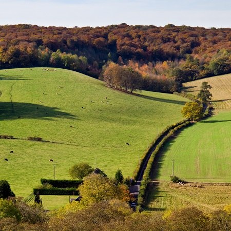 Cycling holiday in the Chilterns - The Dunstable Downs