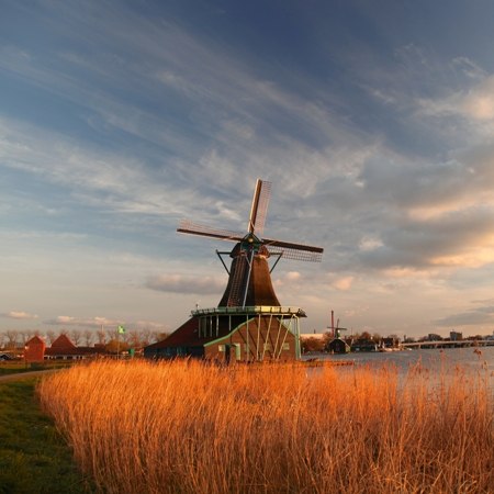 Traditional Dutch windmills on our Highlights of Holland bike tour