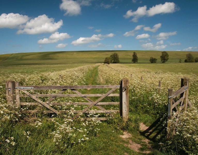 Five Surprising Benefits of Walking