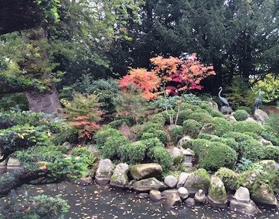 The Japanese tea garden at Le Manoir aux Quat'Saisons in Oxfordshire, a hotel which features on our luxury cycling holidays