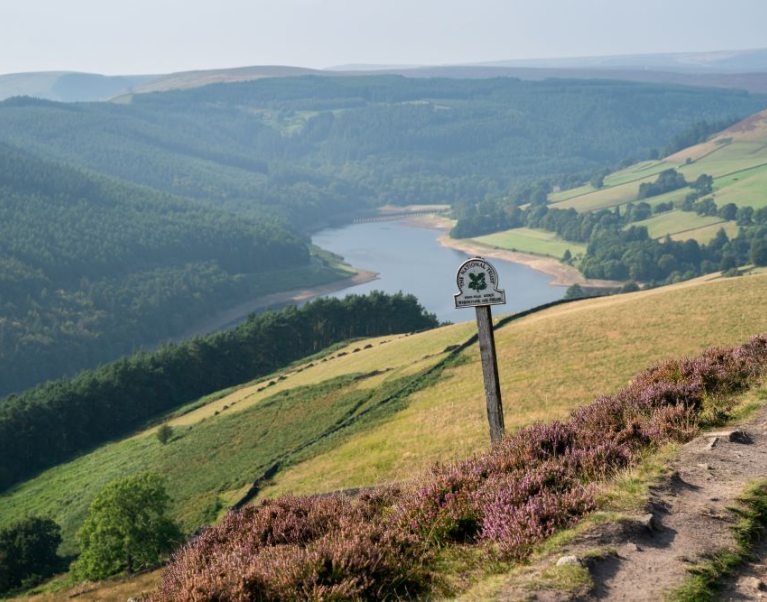 National Trust landscape with logo and signpost