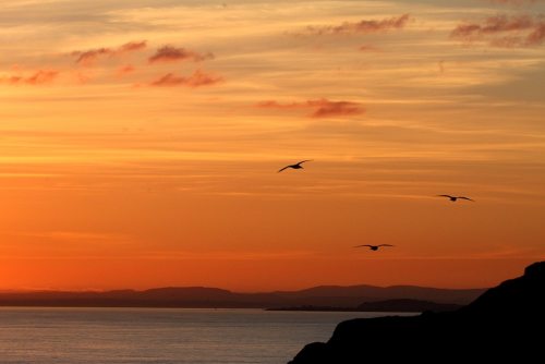 Landscape photo looking out to sea at sunset