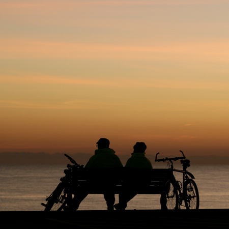 FAQs The Carter Company