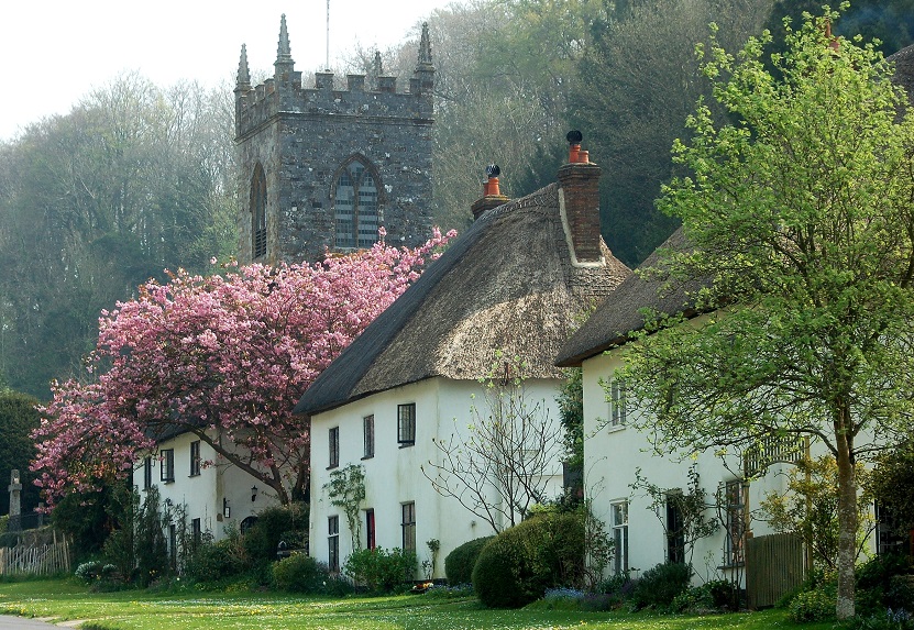 Holidays in Dorset & The New Forest The Carter Company